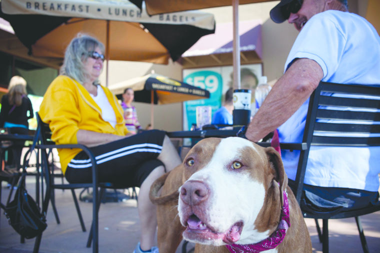 Pet Places